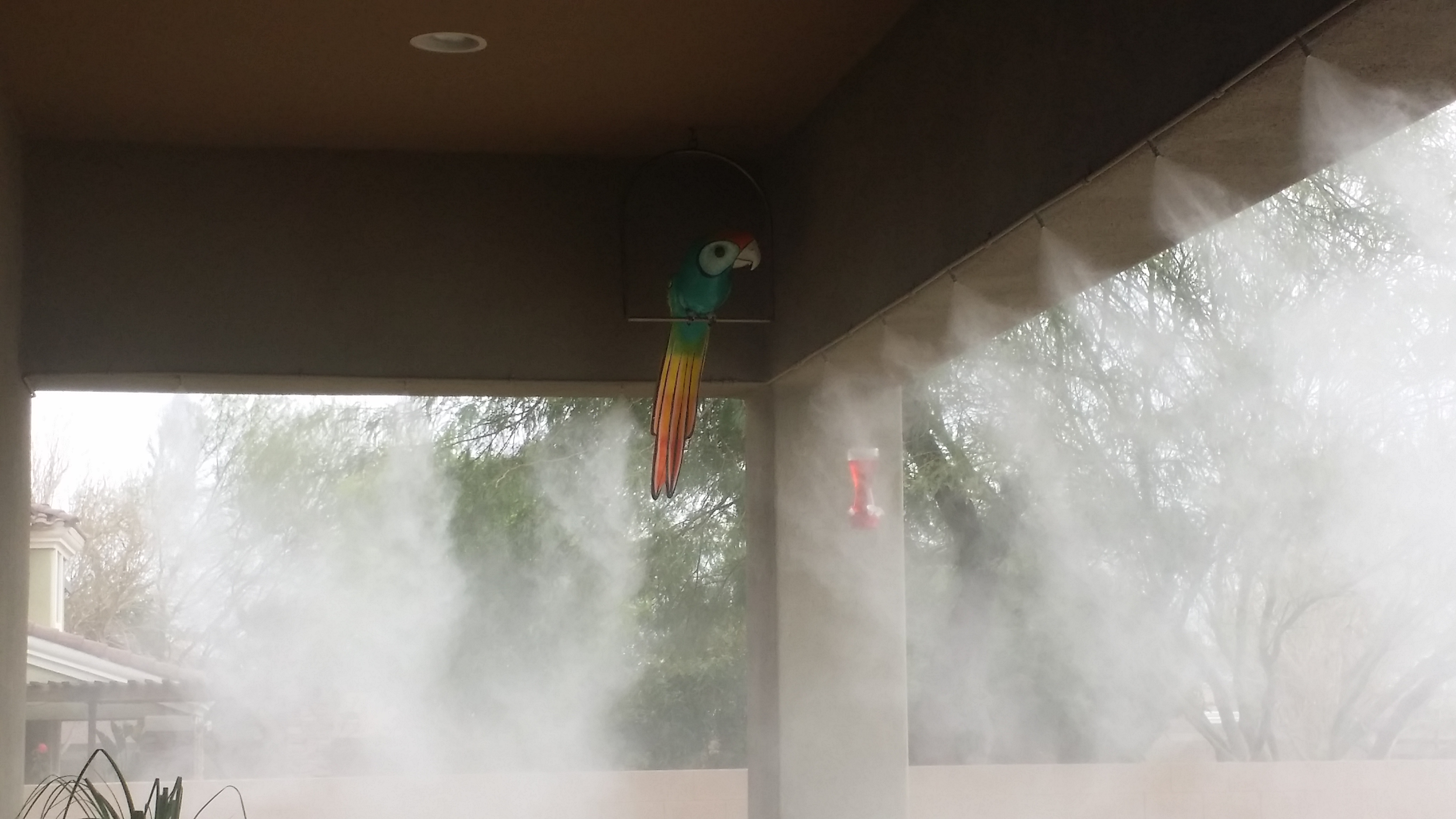 Parakeet aviary misting